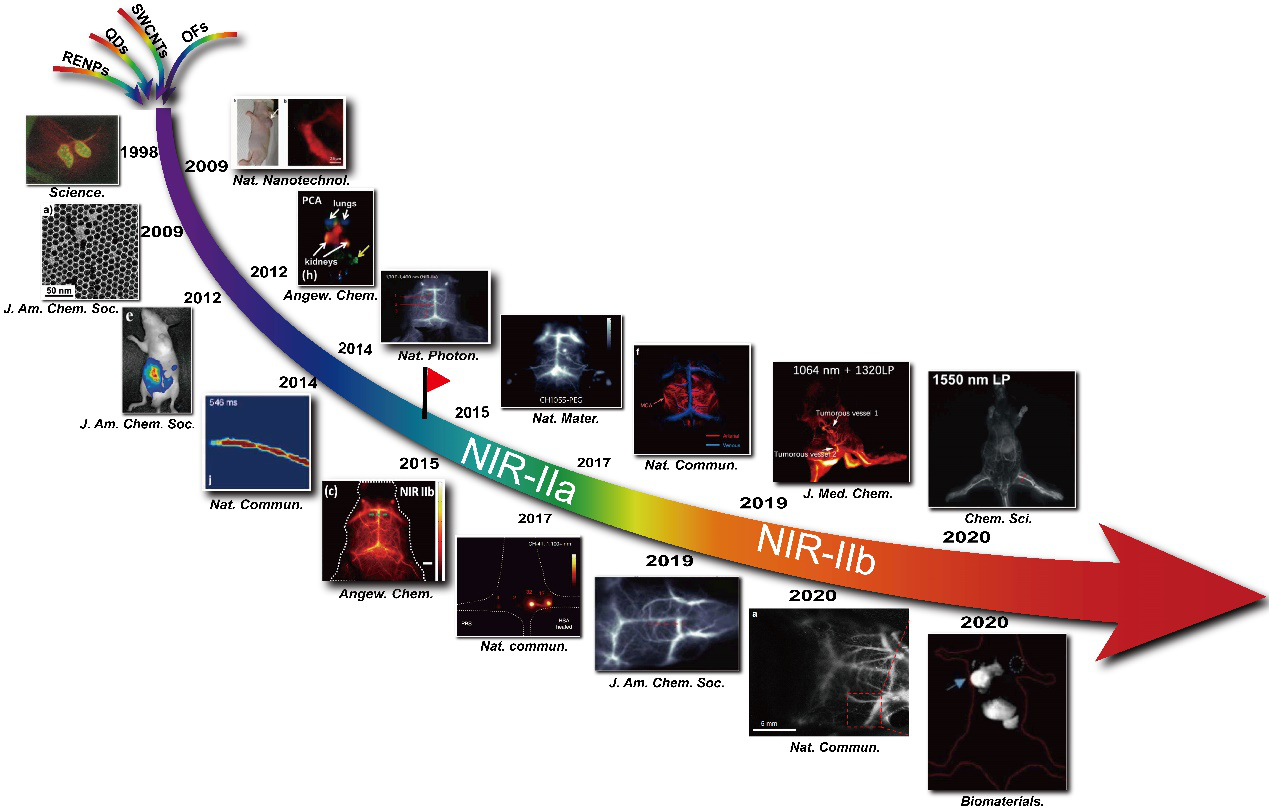 多种类型的无机/有机近红外iia/iib荧光团的设计策略到分子成像和